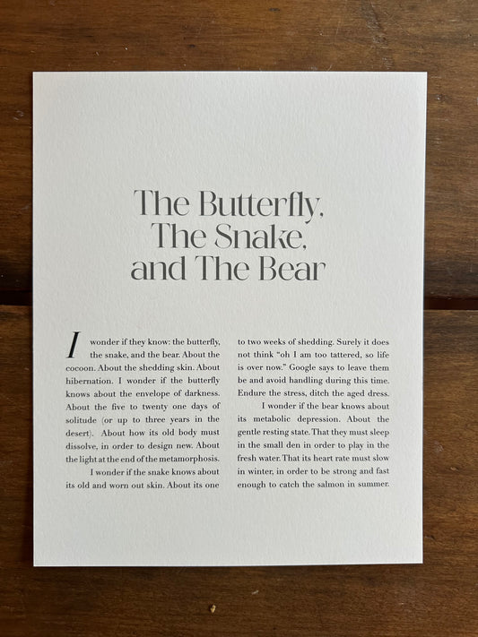 The Butterfly, The Snake, and The Bear
